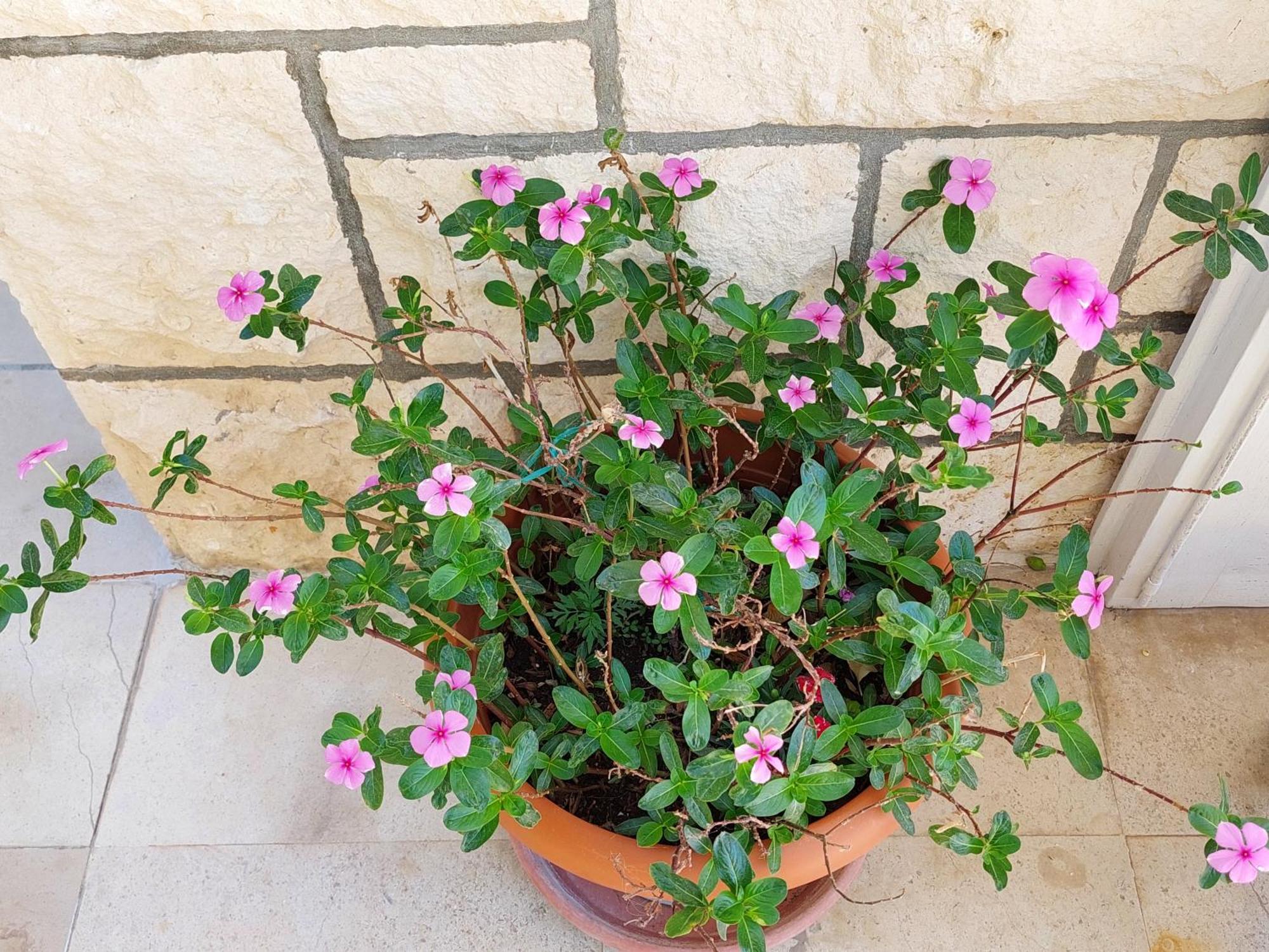 Vila Luka 2 Hvar Town Zewnętrze zdjęcie